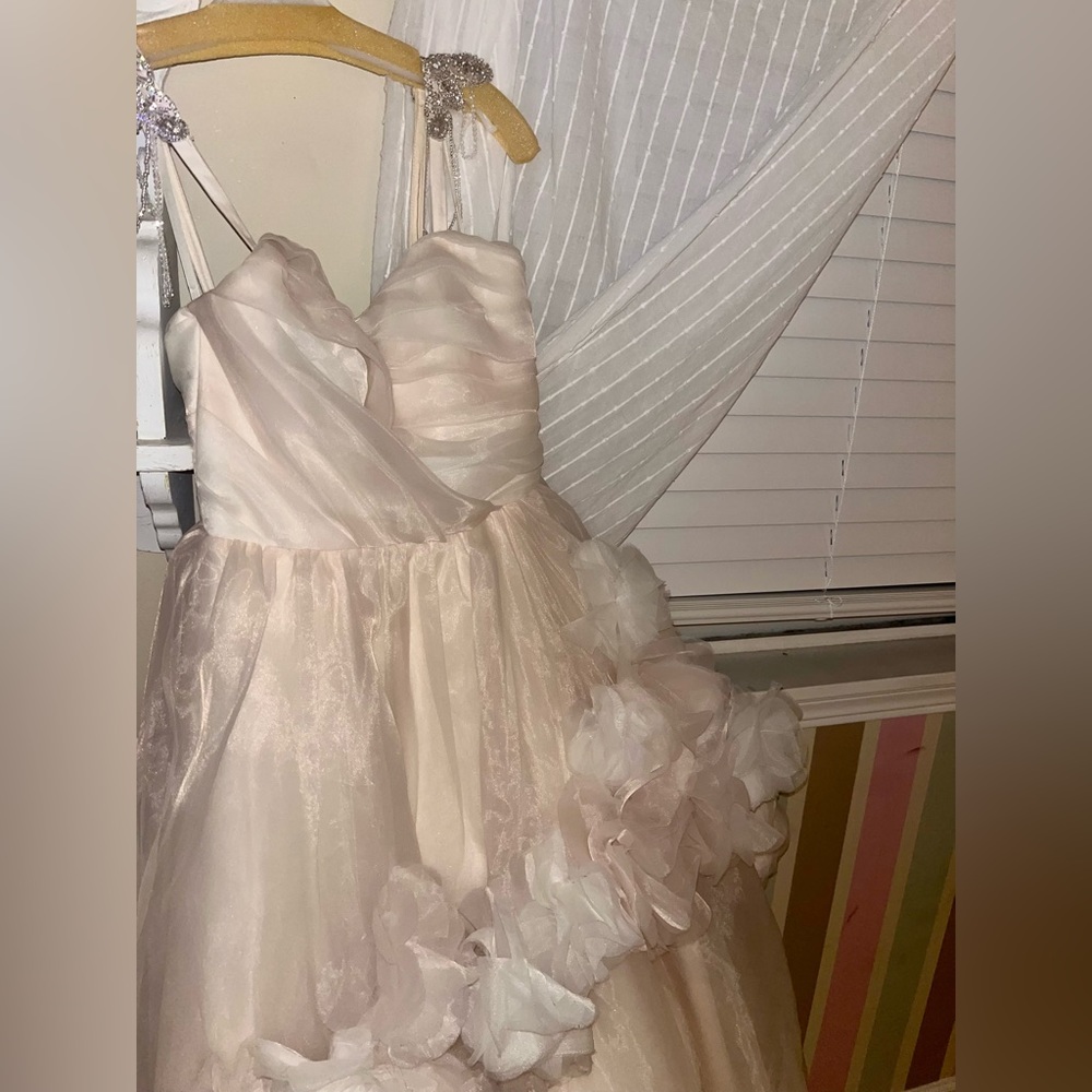 Custom Blush Ballgown